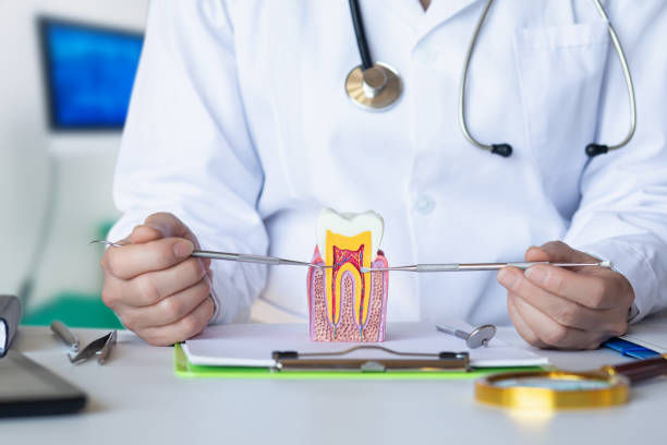 Best Emergency Treatment for Oral Infections in Eldon, MO